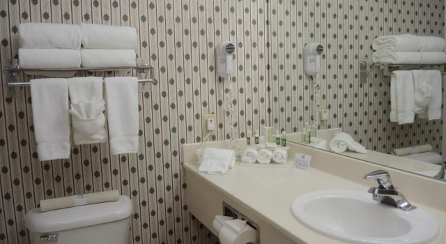 Четырёхместный номер Standard Evergreen Inn & Suites