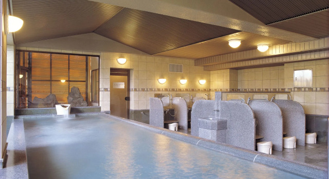 Wakakusa no Yado Maruei Ryokan