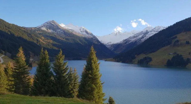 Номер Economy alpenrose hotel-garni