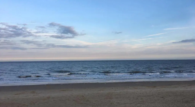 Апартаменты Moray Beachside Apartments
