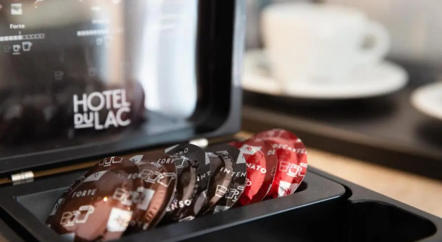 Двухместный номер Economy Hotel Du Lac Locarno