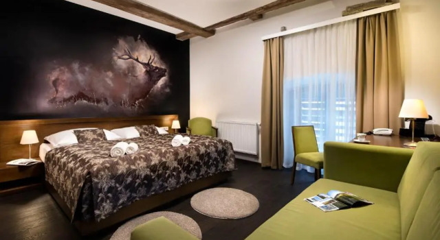Двухместный номер Superior Hotel Chateau Orlice