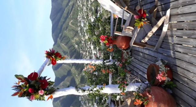 Standard cameră Hotel Cactus Taganga