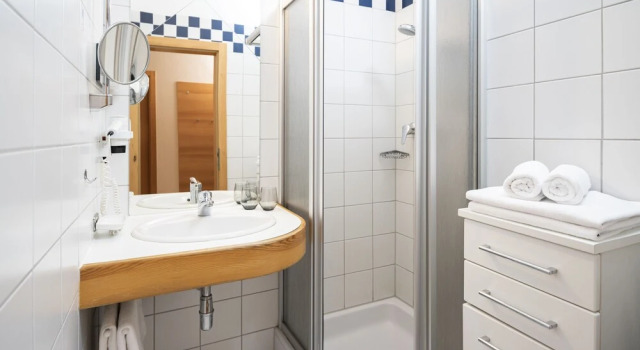 Номер Standard Hotel Trattnig