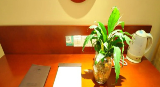 Двухместный номер Standard GreenTree Inn Zibo Zichuan District Flyover Business Hotel