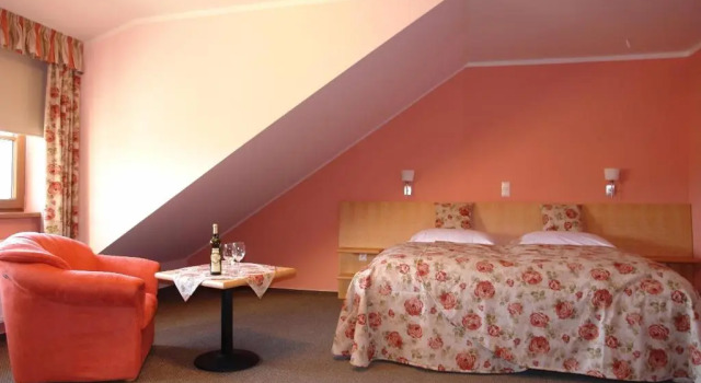 Двухместный номер Standard Hotel Galant Mikulov