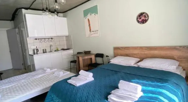 Your Cozy Apartment in New Gudauri, Loft 2 #432