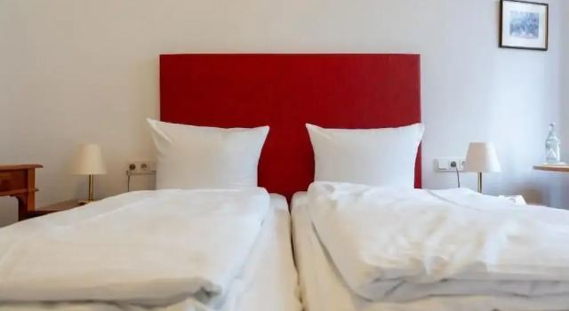Двухместный номер Economy Hotel zum Ritter St Georg - Oldest Residential Building in Heidelberg