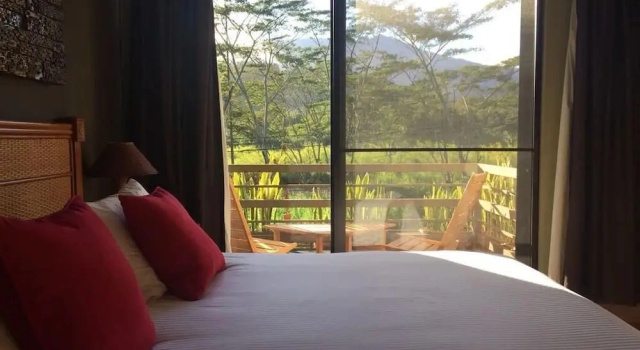 Одноместный номер Deluxe Hotel Ladera