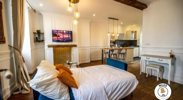 L'Haussmann, Rare, Appartement Vue Château et Palmiers