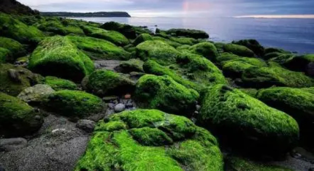El Reflejo Lodge, Book Hotel Hoteller i Chiloe med pool, Swimmingpool