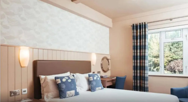Одноместный номер Standard с видом на внутреннюю территорию Golden Sands