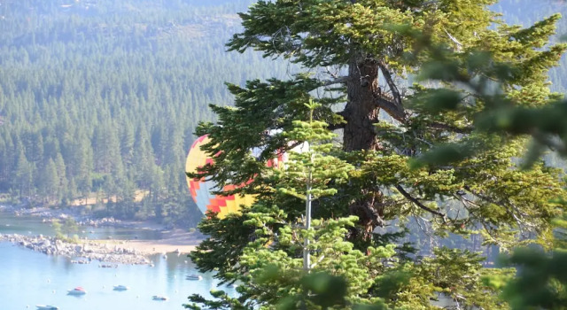 Семейный люкс Where Eagles Fly Bed & Breakfast