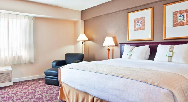 Holiday Inn Rolling Meadows - Schaumburg Area, Rezerwuj Hotel Schaumburg 