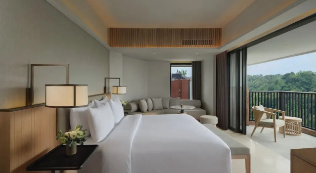 Двухместный номер Deluxe с балконом и с видом на окрестности Novotel Bali Ubud Resort