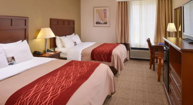 Четырёхместный номер Standard Comfort Inn Dickson