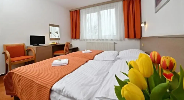 Номер Standard LH Parkhotel Hluboka Nad Vltavou Congress & Wellness