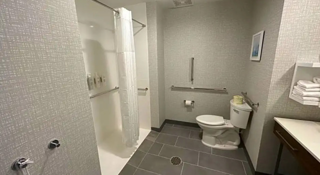 Номер Standard Hampton Inn & Suites Ruskin I-75, FL