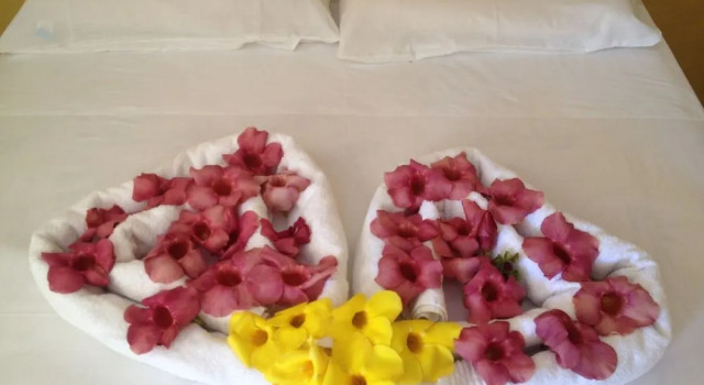 Pousada Flor da Pipa