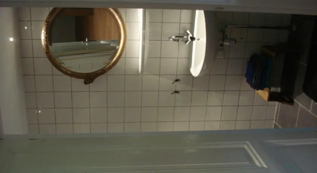 Hogerlust Logies, Book Hotel Abcoude Utrecht