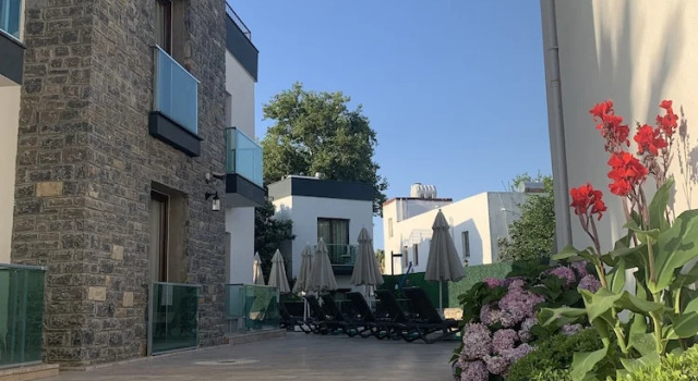 Номер Economy Orya Apart