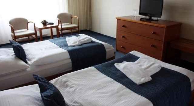 Одноместный номер Standard Hotel Theresia