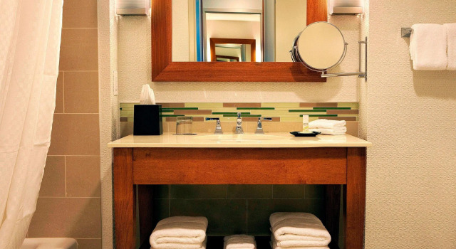 Двухместный номер Standard The Westin Lake Mary, Orlando North