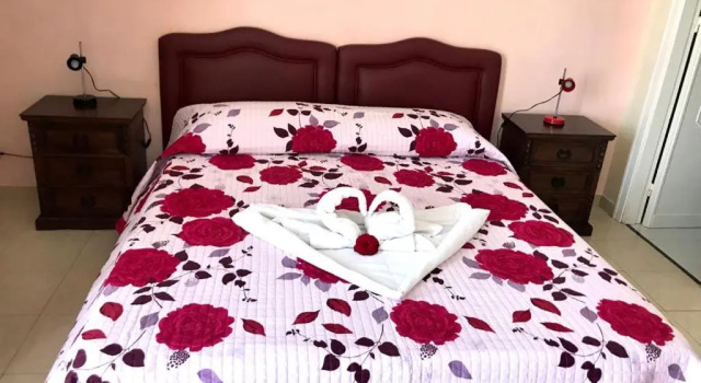 Двухместный номер Standard Bed & Breakfast Delle Palme