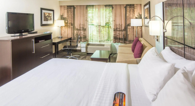 Двухместный номер Standard Hampton Inn St Augustine Downtown Historic Distric