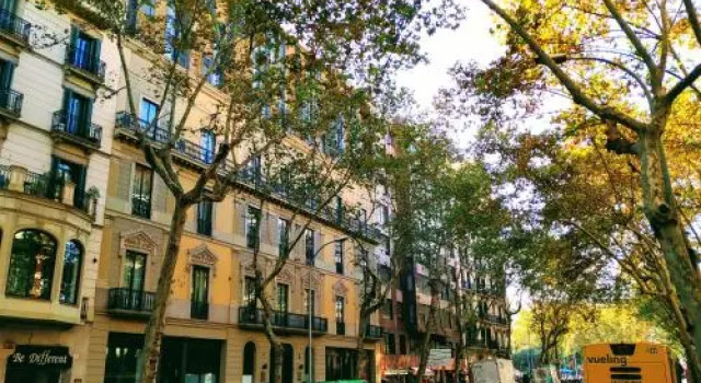 Elegant Apartment Olle, Забронировать Апартаменты/квартира Эшампле Барселона, рядом с Приход Св. Августина