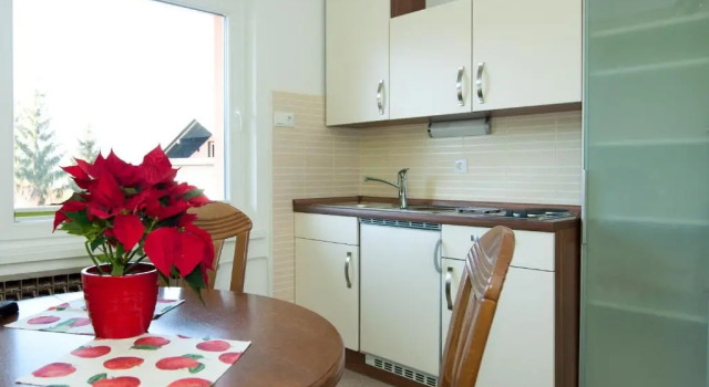 Двухместный номер Standard с балконом Apartments Mencinger