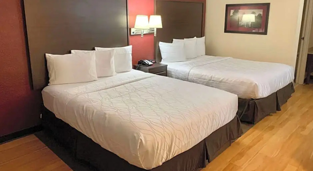 Номер Deluxe Quality Inn & Suites near six flags and medical center