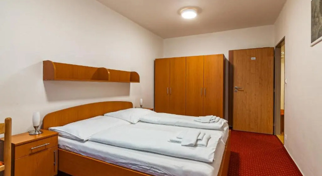 Двухместный люкс Hotel Garni VŠB TUO