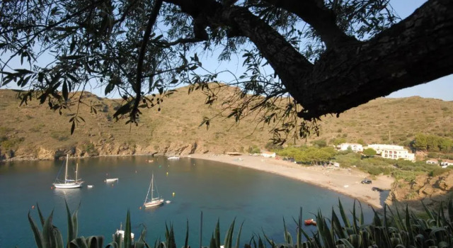 Двухместный номер Standard с видом на море Hotel Cala Joncols