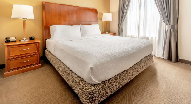 Hilton Garden Inn Houston/The Woodlands
