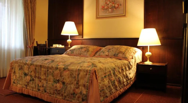 Номер Superior Hotel Stelter