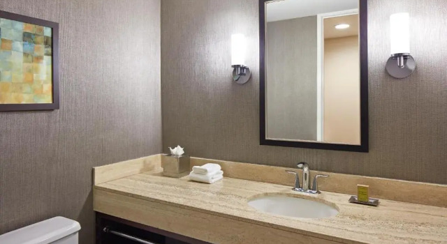 Двухместный люкс c 1 комнатой Hilton Houston Plaza/Medical Center