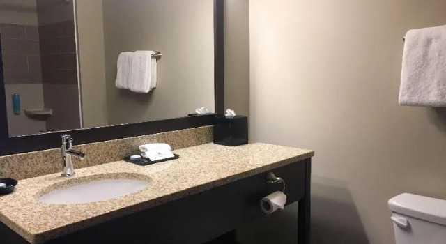 Люкс Standard Best Western Plus Lacombe Inn and Suites