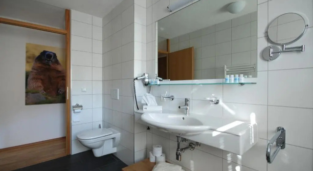 Апартаменты EdelWeiss AlpinLodge