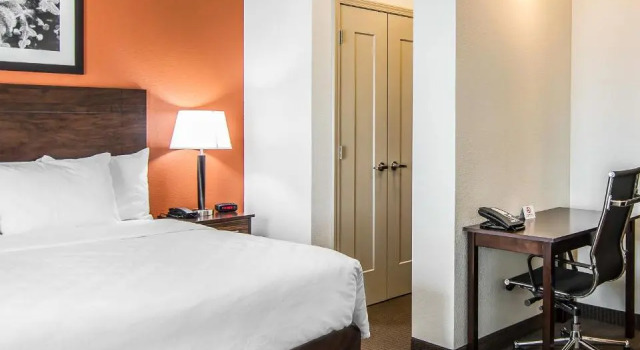 Четырёхместный номер Standard MainStay Suites Lufkin