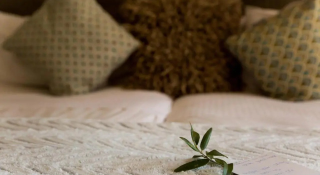 Habitación De lujo Olive Grove Guesthouse