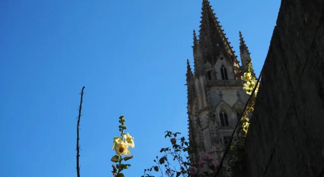 La Belle Etoile, Prenota Affittacamere Saintes Charente Marittima