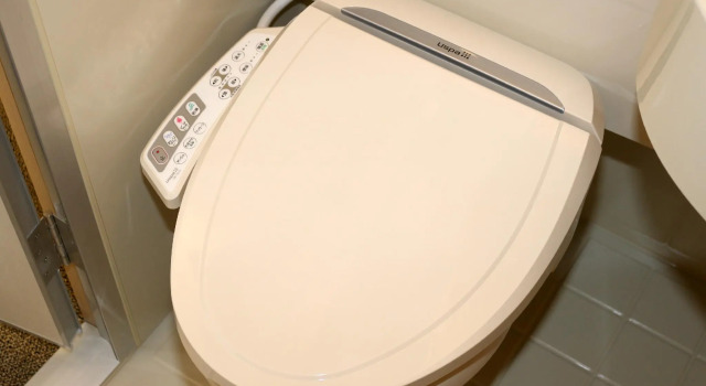 Двухместный номер Standard Toyoko Inn Chubu International Airport No 2