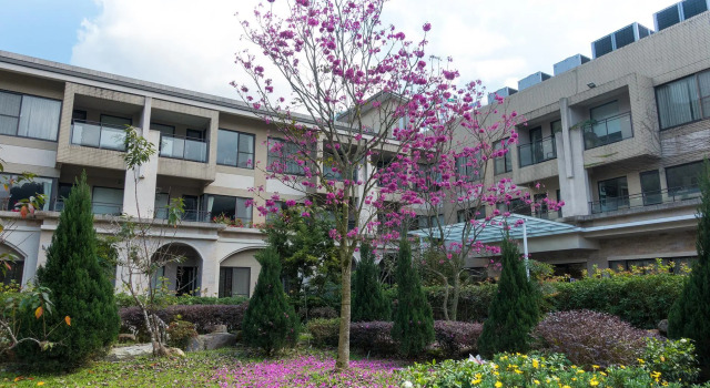 Tai-Yi Red Maple Resort, Book Resort Hotels in Puli with Breakfast, Breakfasts