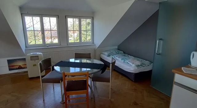 Семейный люкс с балконом и с красивым видом из окна Geinberg Suites & Vianova Lodges