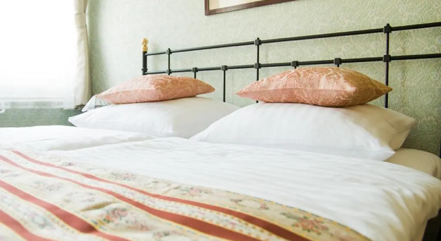 Двухместный номер Superior Hotel Victoria