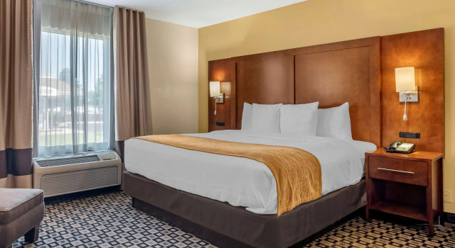 Двухместный номер Standard Comfort Inn & Suites Athens North