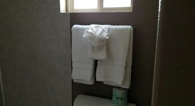 Одноместный номер Economy Budget Inn Express Douglas