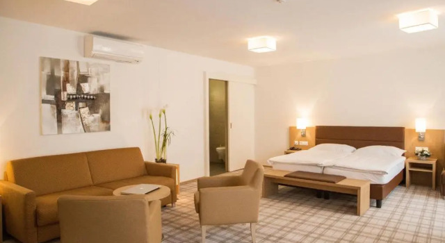Четырёхместный номер Standard Central City Hotel Rochat