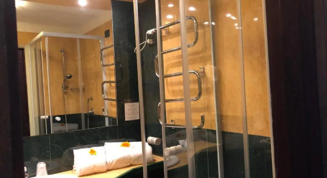 Одноместный номер Standard Domizia Palace Hotel